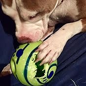 wobble wag giggle ball target