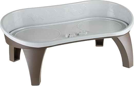 the best algae eater fish