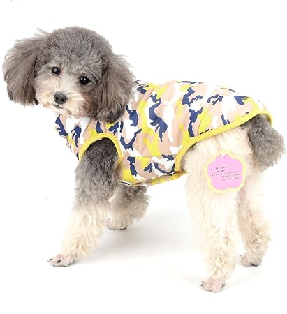 chihuahua clothes amazon