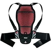 CE Level 2 Certified Motorcycle Back Protector, Lightweight Spine Armor Pad with Adjustable Straps Protective Gear for Motorcycle Riding Jackets, Motocross, Snowboarding, Skateboarding