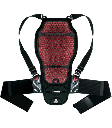 Amazon.com: Alpinestars Nucleon KR-3 Back Protector, CE Level 2