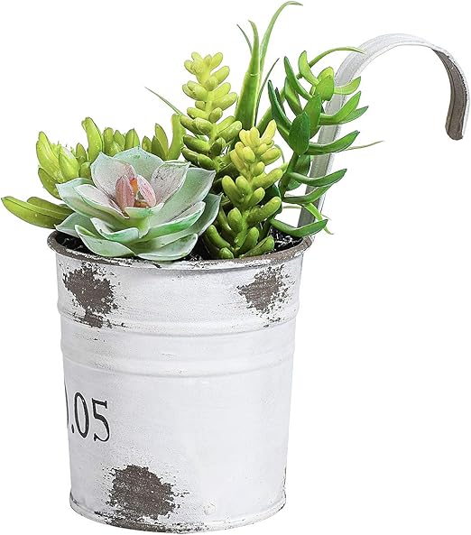 Amazon Com Ql Design 7 Inches Assorted Artificial Succulent