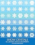 Snowflake Bentley Jacqueline Briggs Martin Mary Azarian