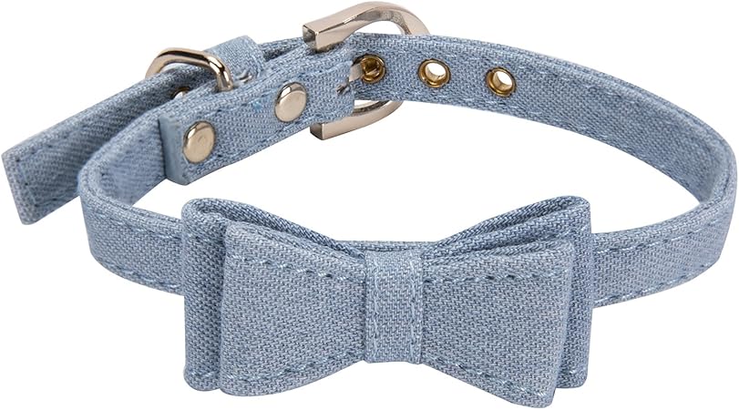 cute dog collars for boy dogs