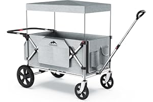 MAIZOA Foldable Wagons for Two Kids & Cargo, with 5-Point Harnesses,Adjustable Push/Pull Handle, Removable Sun Canopy, One-Step Locking Design, Suitable for Family Travel, Two Children Ride, Black (Silver)