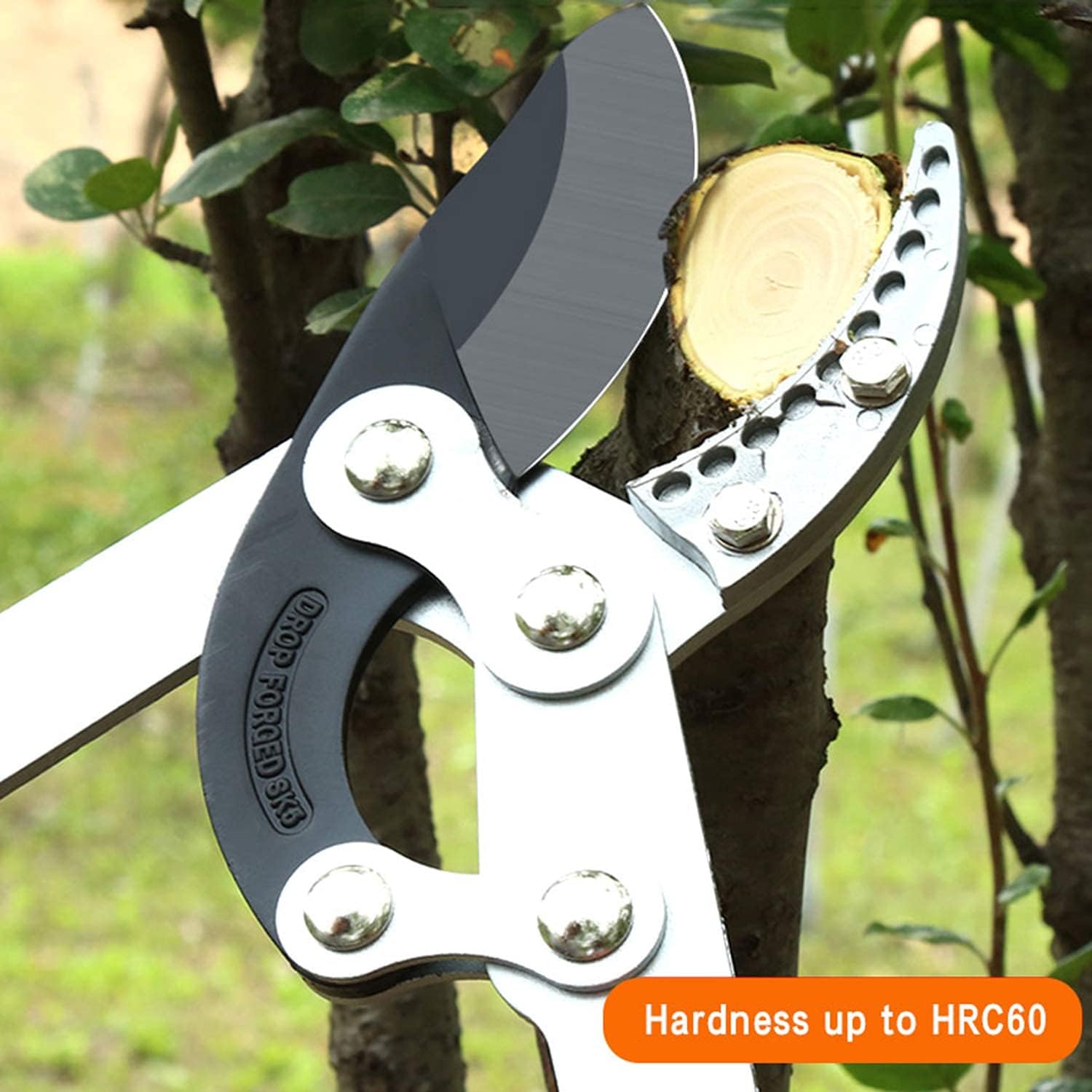 YINLONGDAO Extendable Anvil Loppers Tree Trimmer with Compound Action, Chops Thick Branches Ease, 29-41 Inch Telescopic Heavy Duty Branch Cutter, 2.4 Inch Clean Cut Capacity. : Garden & Outdoor