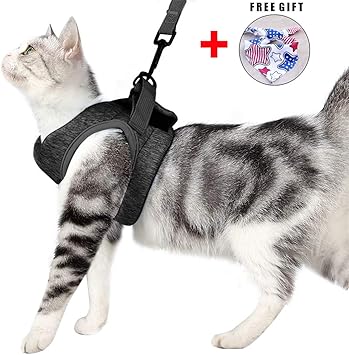 Katzengeschirr Und Leine Set Für Spaziergang 360 Wrap Around Kleine Katze Und Hunde Geschirr Pufferwirkung Und Fluchtwiderstand Geeignet Für