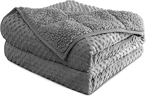 Mr. Sandman Weighted Blanket Queen Size, Cozy Minky Dot and Shaggy Sherpa Weighted Blanket 15 lbs, Great for Sleeping & Calming, Fluffy Warm Soft Bedding Blanket - 60''x80'', Grey