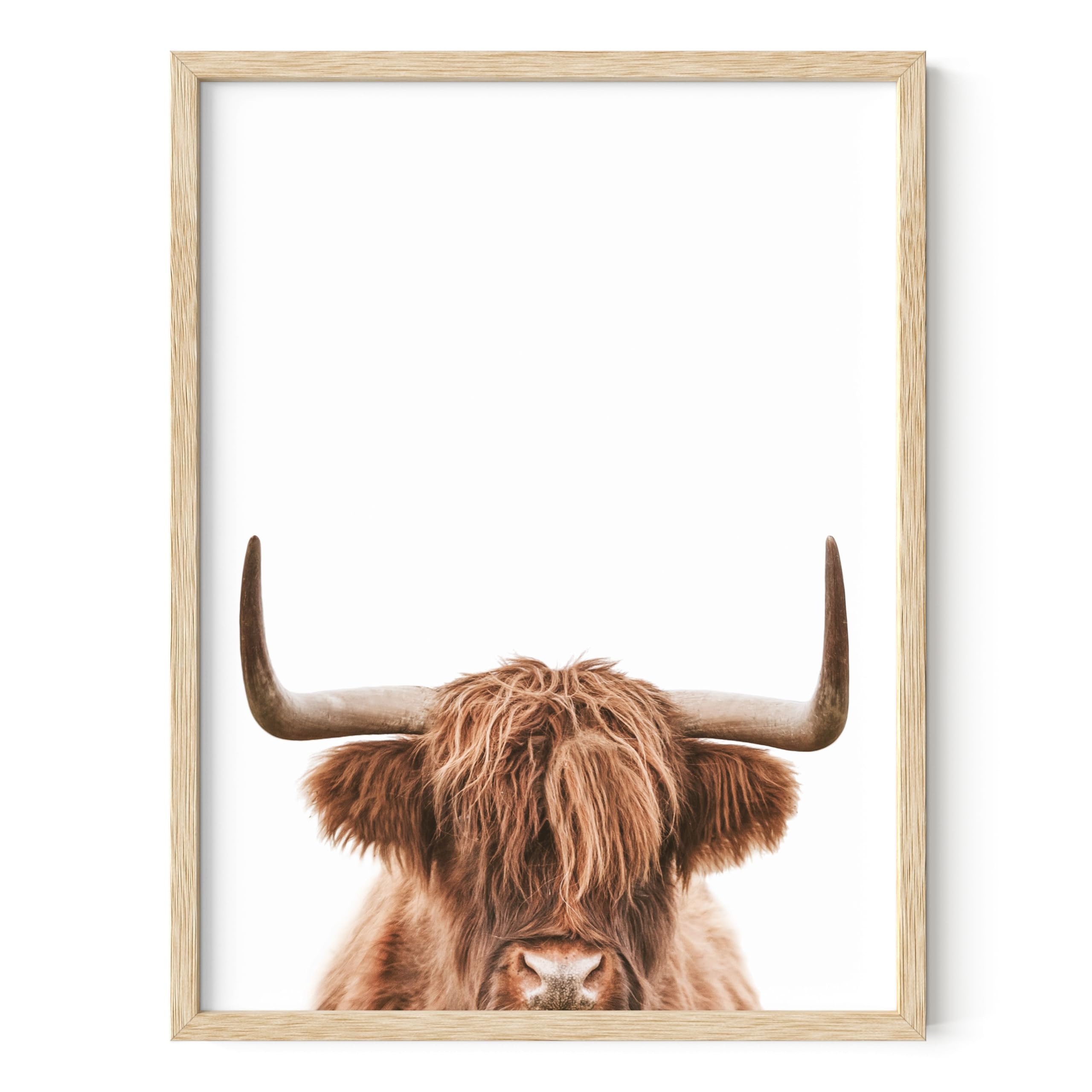 HAUS AND HUES Highland Cow Wall Art - Highland Cow Print and Bull Wall Art Cow Wall Decor Cow Pictures Wall Decor | 12" x 16", UNFRAMED