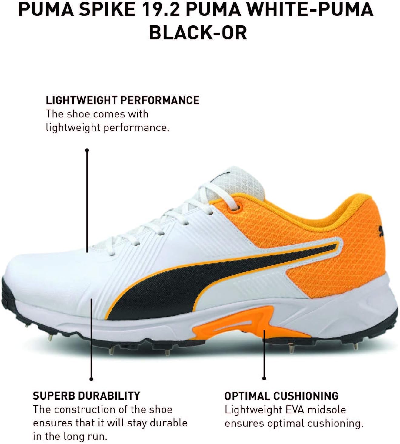 puma evospeed 19.1 cricket shoes