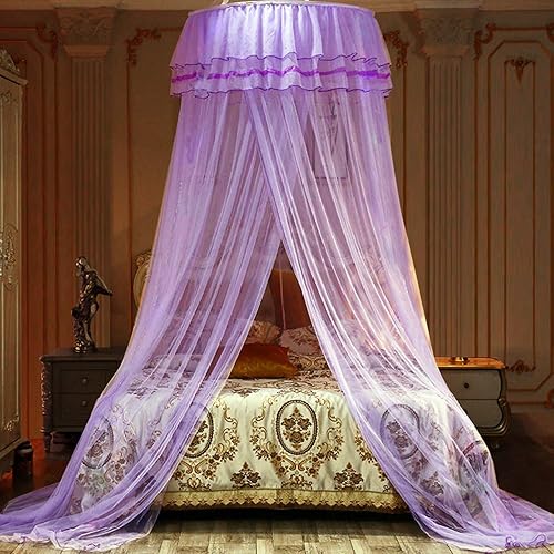 Jolitac Bed Canopy Lace Mosquito Net for Girls Beds, Unique