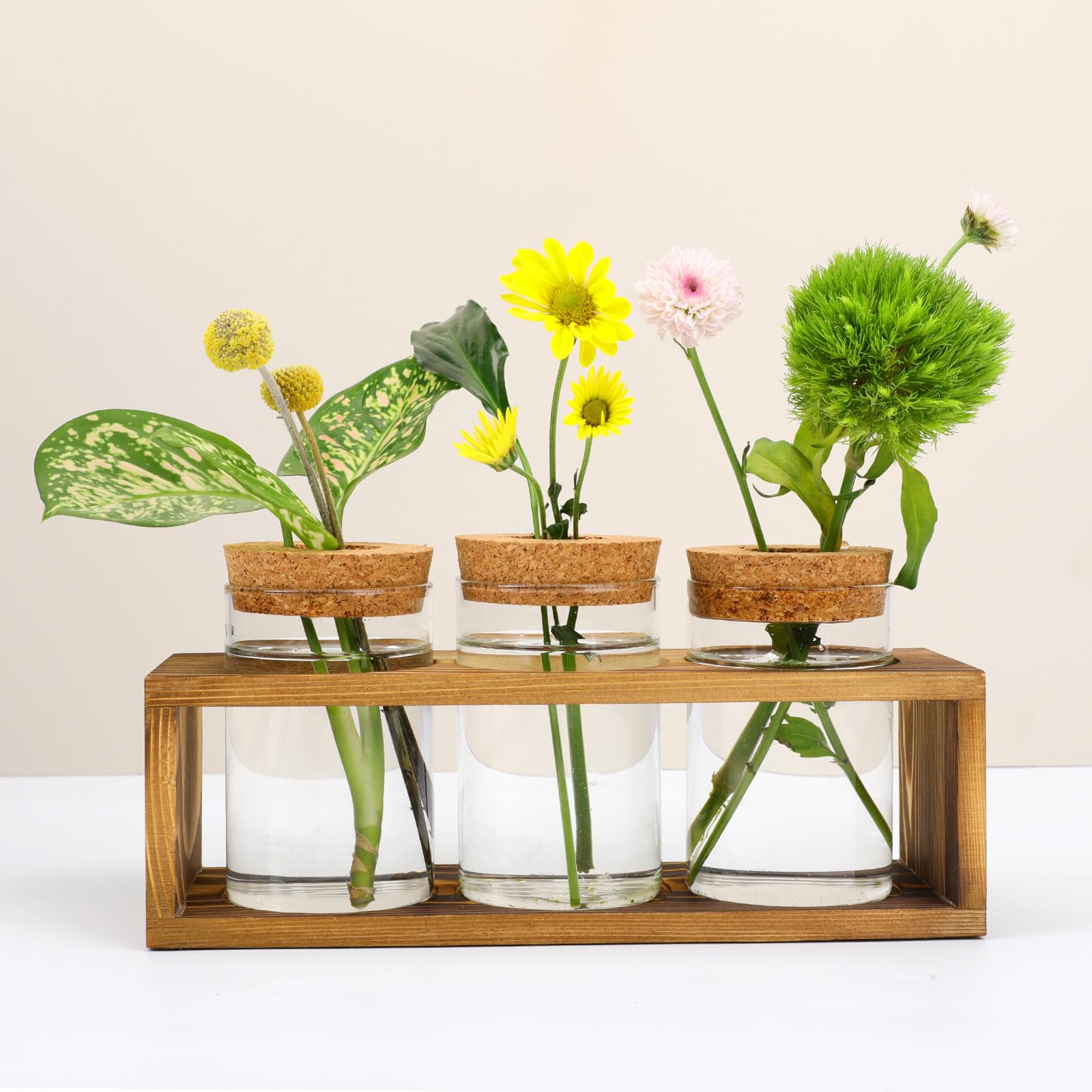 Photo 1 of Pechaut Propagation Stations, Plant Terrarium for Indoor Hydroponic Decor, Glass planters for Fresh Cuttings, Unique Birthday Gifts for Women & Mom, Home/Office Decor