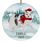 Santa Hat and Scarf Welcome Winter Bicolor Manx Cat