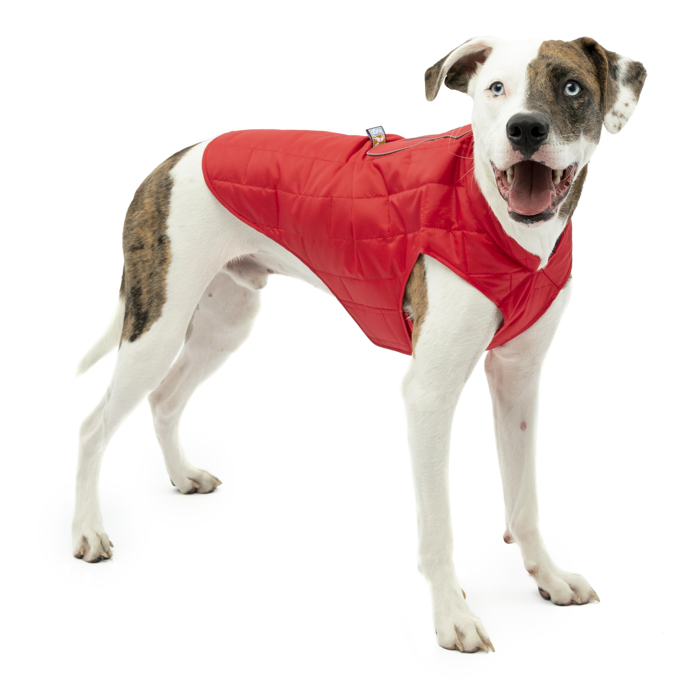 Kurgo Loft Dog Jacket - Reversible cosy Coat for Outdoor Adventures - Water Resistant - Athletic Fit - Machine Washable Fabric - Reflective Dog Gear - Medium - Chili Red โ image 1