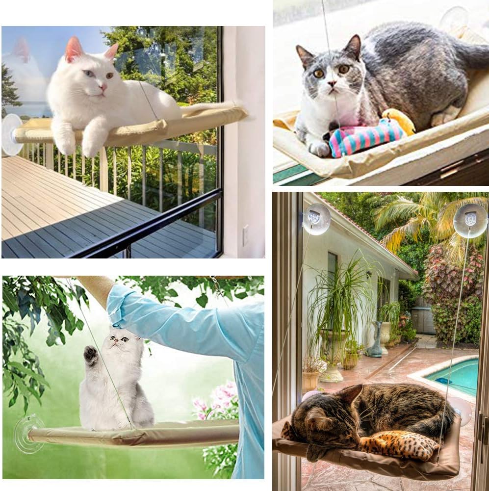 Amazon Com Window Cat Bed Angela Alex Cat Window Seat Window Perch Bed Hammock With 2 Extra Replaceable Suction Cups Space Saving All Around 360 Sunbath Holds Up To 55 Lbs For Any Cat Size