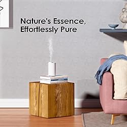 Airversa Waterless Diffuser for Essential