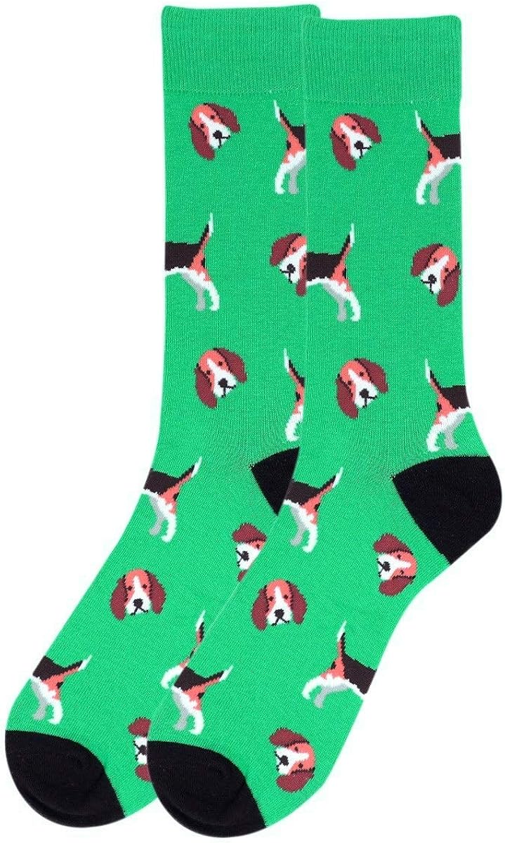 beagle socks h&m