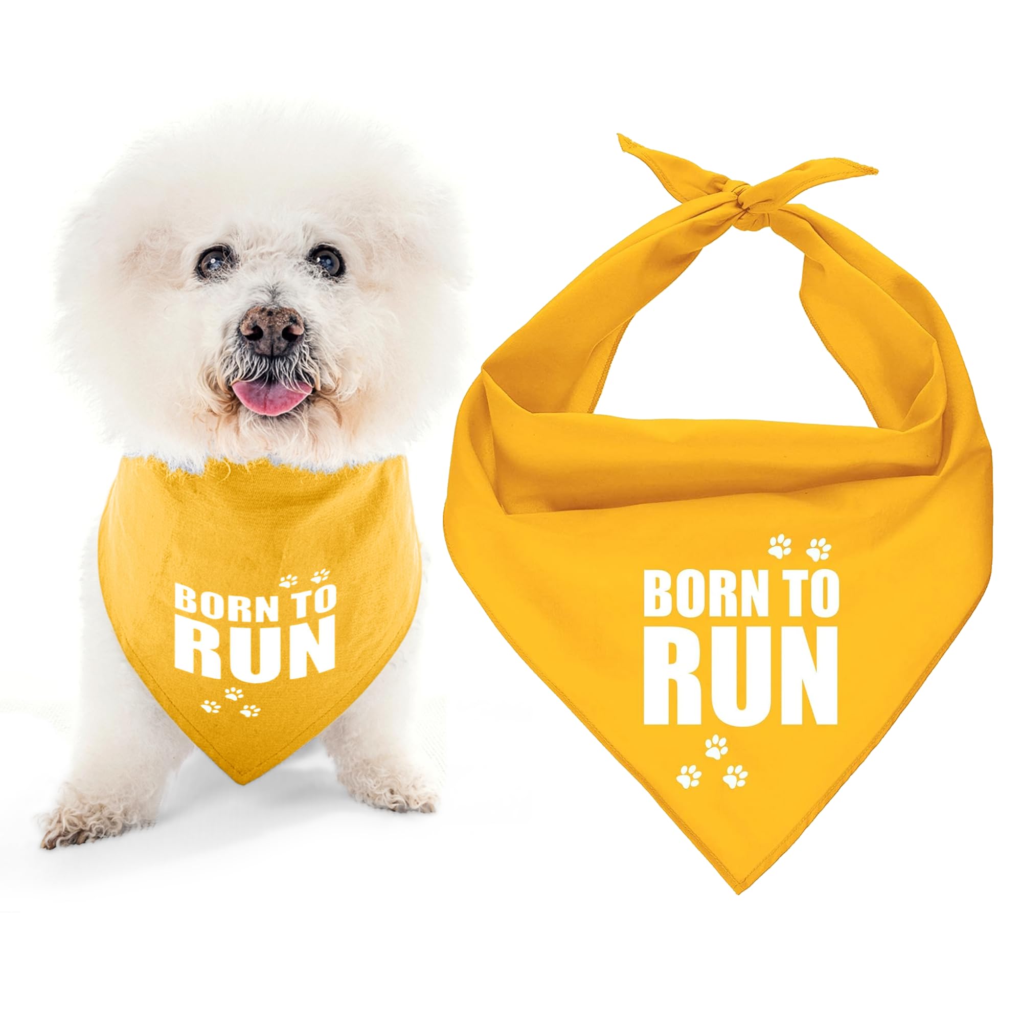 Parisian Pet Dog Bandana for Dogs and Cats - Dog Bandanas Large and Small Kerchief Scarfs - Dog Bandanas Born To Run — image 1