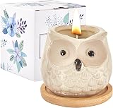 Kinforse Enchanting Owl Scented Candle Sweet Orange Aromatherapy view 1