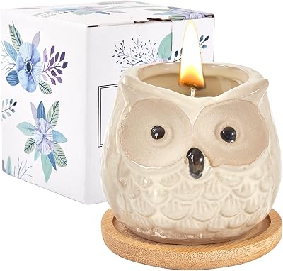 Kinforse Enchanting Owl Scented Candle Sweet Orange Aromatherapy