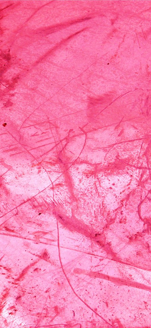 PeelitStickit Coloured Grunge Textures Pattern, Wallpaper Design, Wall Mural ID-004, vinyl