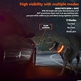 KOSKILL Light Up Dog Collar USB Rechargeable Waterproof Orange M view 7