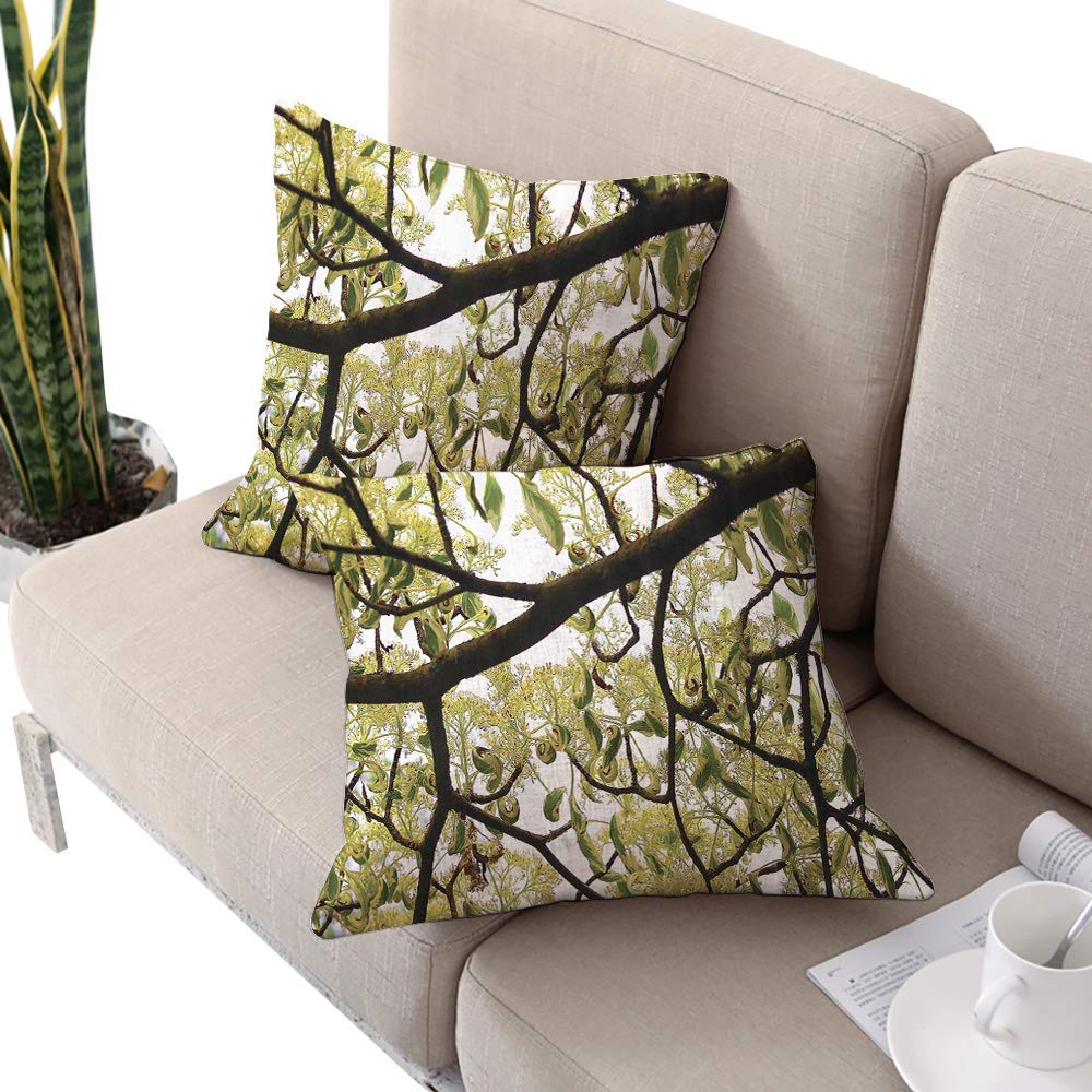Michaeal Farmhouse Square Double-Sided Printing Pillowcase,Dogwood Tree Seeds Bonsai Art Decorations Home Accessories Nature Lover Bright Sky Digital Print Green Brown Off White W16 xL16 2pcs