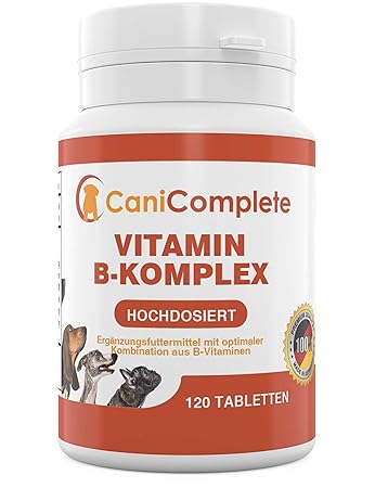 CaniComplete Vitamin B-Komplex für Hunde, Katzen: B1, B2, B3, B5, B6, B9, B12, K3, Calcium, Folsäure. Unterstützt wichtige Ne