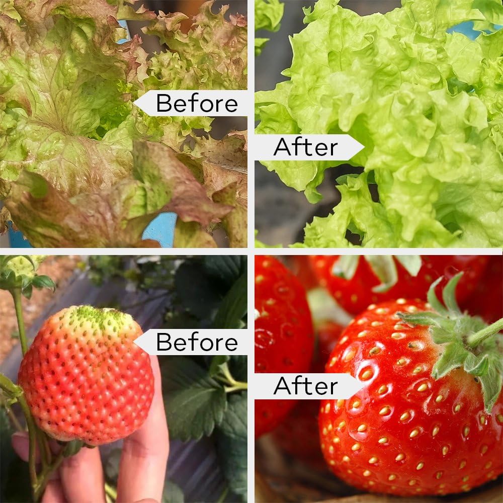 Taotronics Led Grow Lights Bulb 36w 3 Bands E26 Socket Grow Lights For Indoor Plants Plant Lights Grow Lamp For Hydroponics Organic Soil Applicable To Grow Banana Lemon Etc Growing Lamps