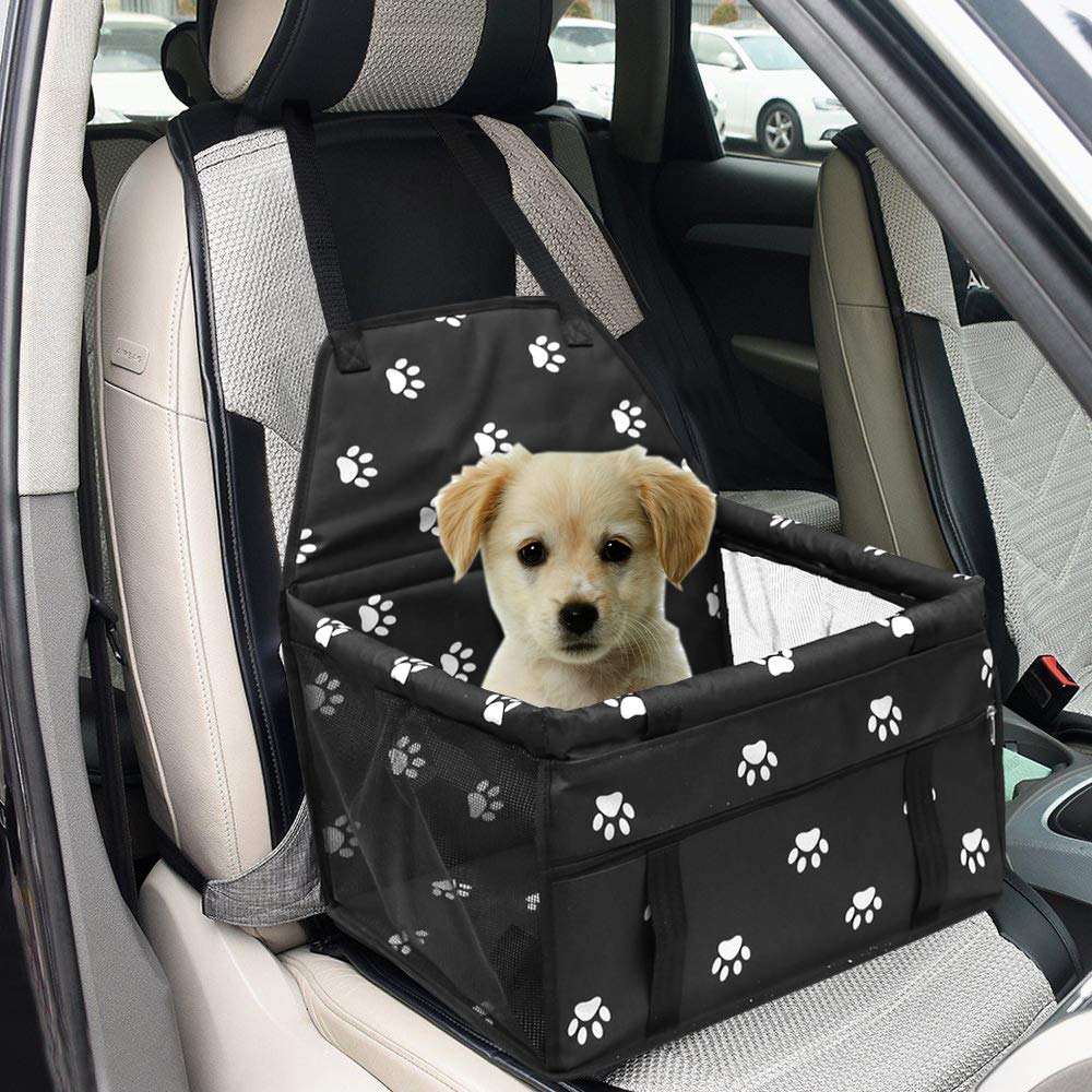 dog car carrier medium