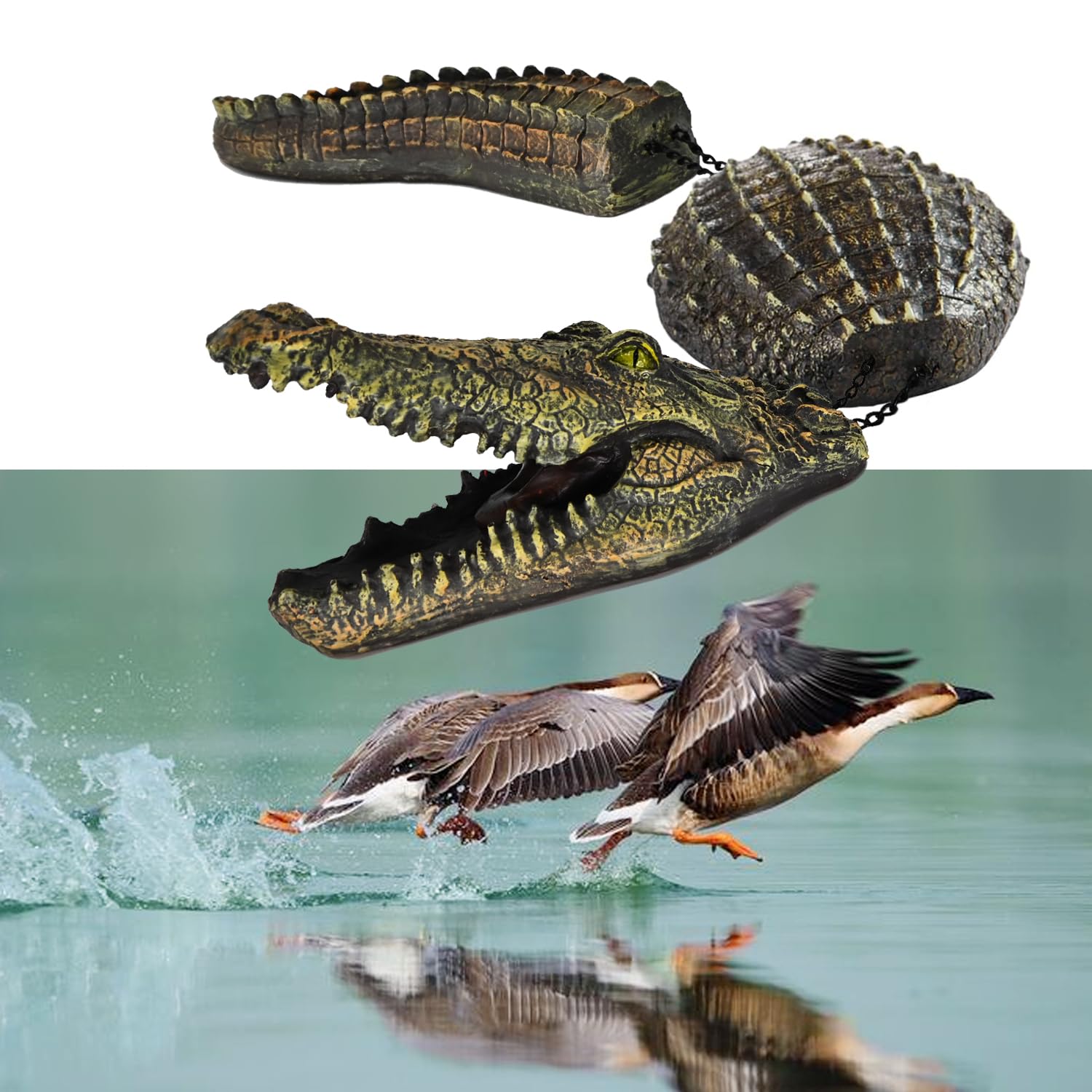 Photo 1 of Juliahestia Large Alligator Outdoor Decor Scary - Crocodile Float for Pool Gator to Scare Away Geese Duck Bird - Floating Pond Decor for Outdoor Garden Yard Lake