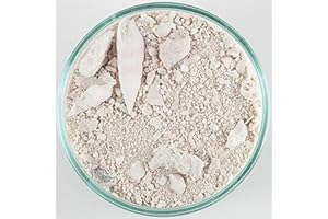 Carib Sea ACS00940 Ocean Direct Natural Live Sand for Aquarium, 40-Pound