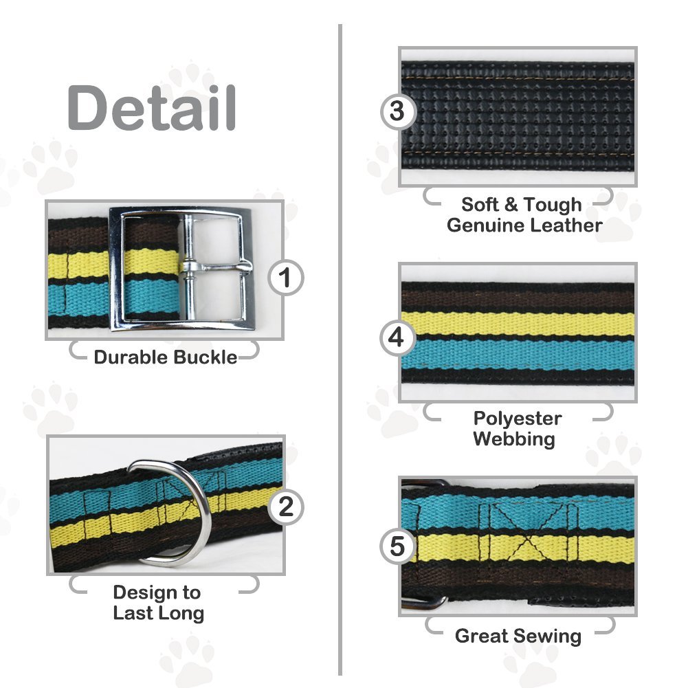Collari per Cani Classico Cuoio Animale Collari per Gatti Animaletti Medi Grande Cani, Adatto per Attività All\'aperto