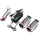 Combo: Universal Smart Charger: 6v - 12v (#01025) + 2 pcs Tenergy 7.2V NiMH 3800mAh Battery Packs