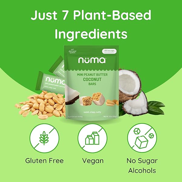 NUMA FOODS MINI COCONUT PEANUT BUTTER BARS – VEGAN, LOW SUGAR, HIGH PROTEIN, ALL NATURAL, GLUTEN FREE – CRUNCHY PLANT BASED PEANUT BUTTER SNACKS – 3 BAGS WITH 8 INDIVIDUALLY WRAPPED PROTEIN BARS