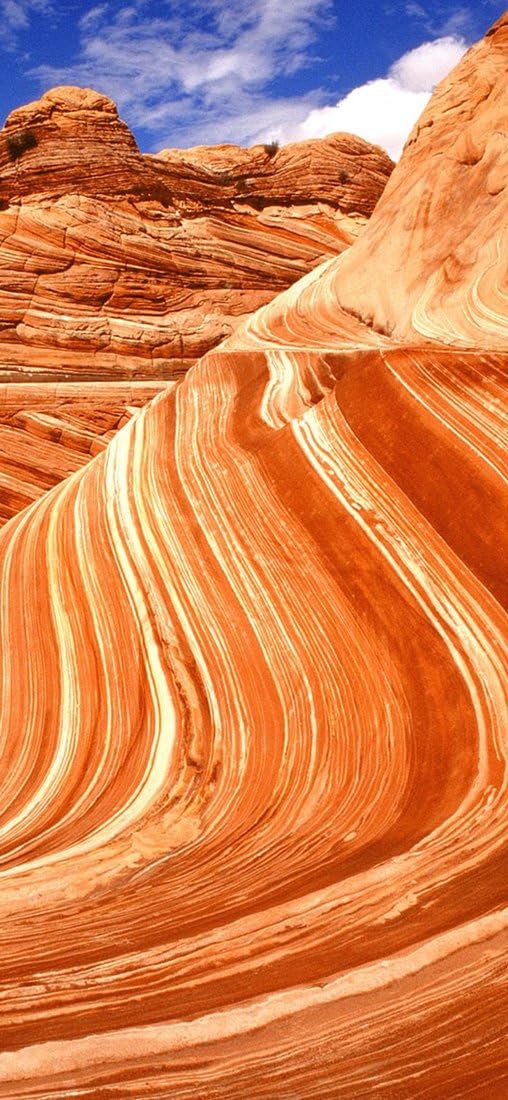 PeelitStickit, Beautiful Nature Wall Murals, ID-0581, vinyl, Multi-colour