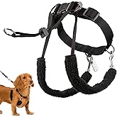 Sporn Original Dog Halter, No Pull Dog Harness, Durable Nylon Collar with Padded Restraint Sleeves for Small Breeds, No Choke Design, Adjustable Fit, Easy On/Off, Black, Small