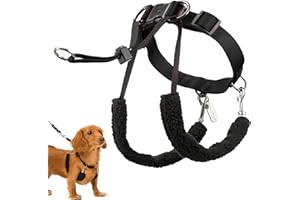 Sporn Dog Halter, Black, Small