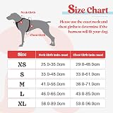 rabbitgoo Dog Harness Medium No Pull Front Back Reflective Adjustable Red Teal view 2