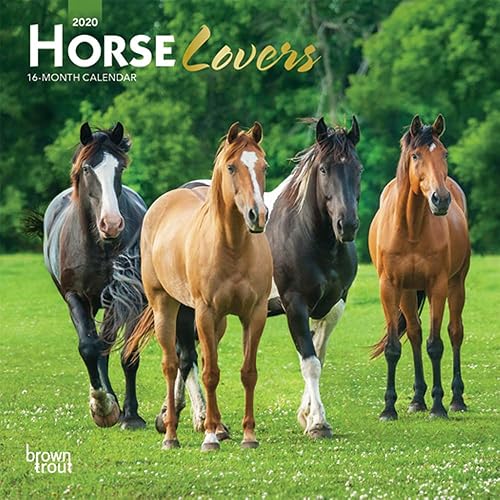 Download Horse Lovers 2020 Calendar: Foil Stamped Cover PDF