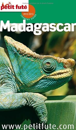 Download Petit Futé Madagascar PDF