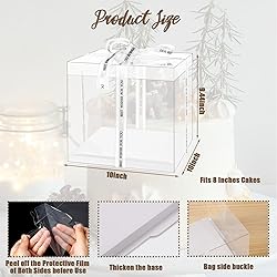 TINSKY 6 Pcs Clear Cake Boxes with Lids Plastic