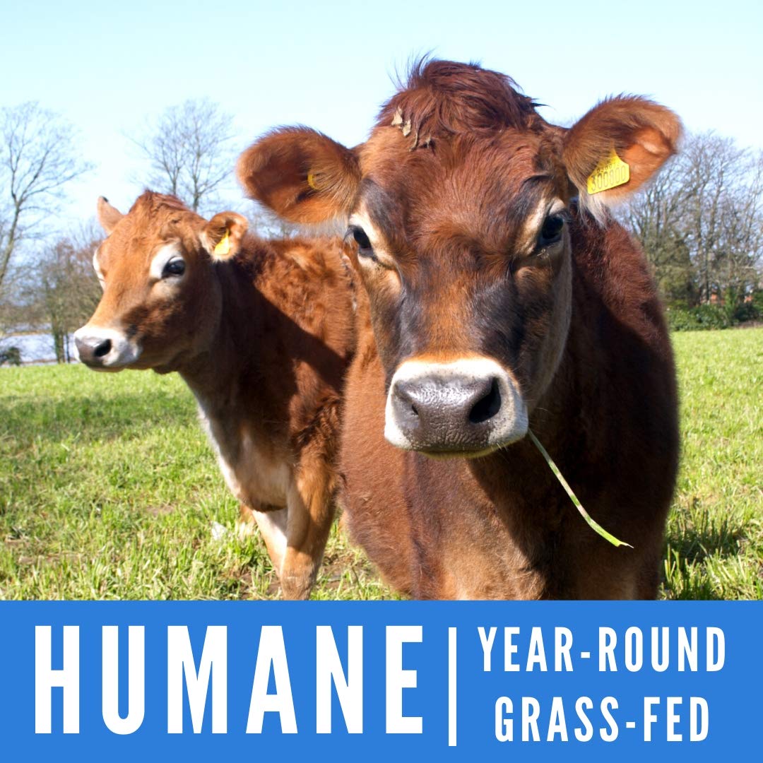 Natural Force® Organic Whey Protein Powder 14.2 oz. *Premium Vanilla