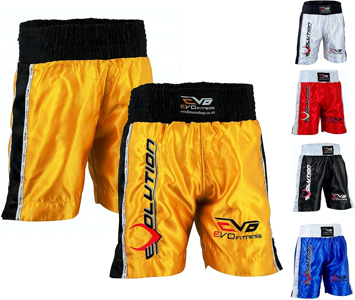 EVO Men Boxing Fight Shorts MMA Kick Boxing Martial Arts Gear Muay Thai UFC (Small, Black)