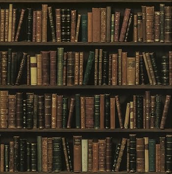 最も気に入った 本棚 壁紙 Ohyesenak