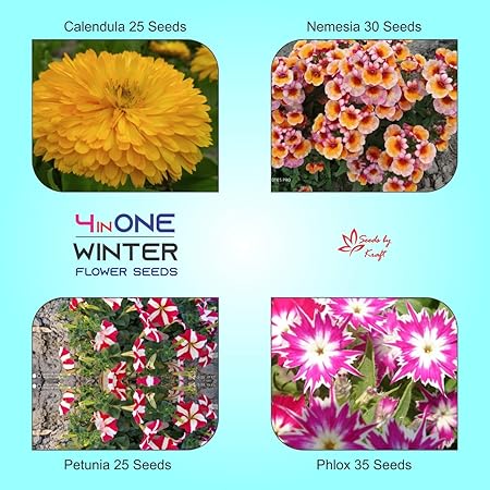 Kraft Seeds Butterfly Attract Flower Seeds Pack Non GMO Heirloom (Pack of 4 varieties)
