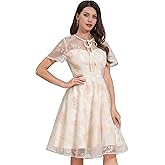 Mesh Embroidery Floral Dress for Women Short Sleeve Cocktail Tea Party Dress Keyhole Tie Formal Embroidered Tulle Prom Dress