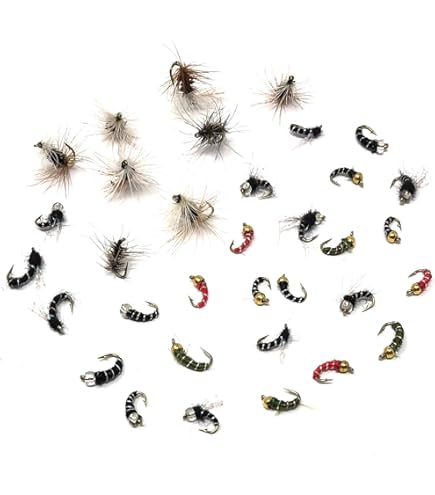 Lot De 12 Mouches Encadrées – Pêche à La Mouche – Îles Occidentales – Sportfish