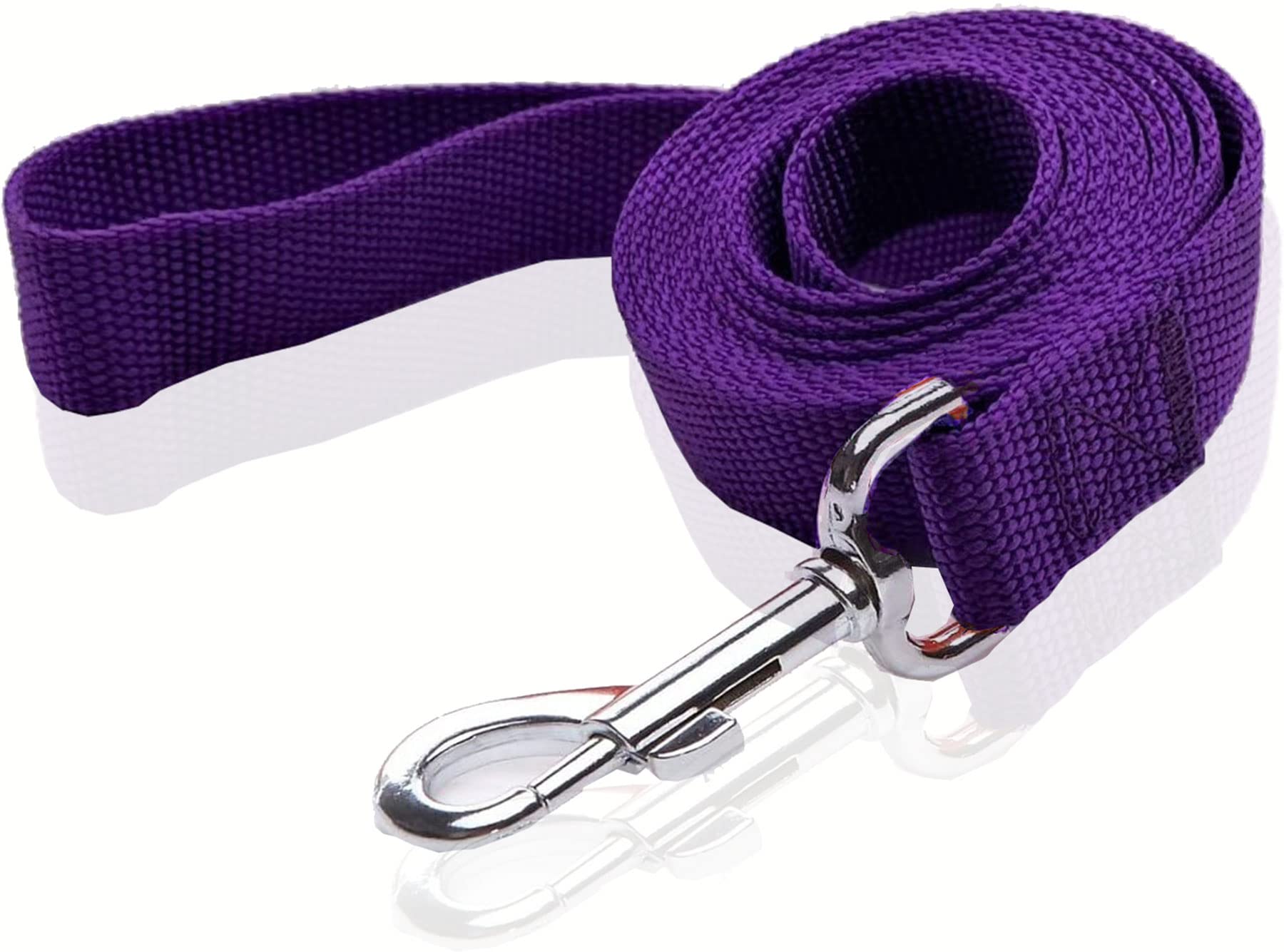 SALO Durable Nylon Dog Leash 10 Feet Long, Walking Training Dog Leashes for Medium Large Dogs, 1 Inch Wide (Purple)