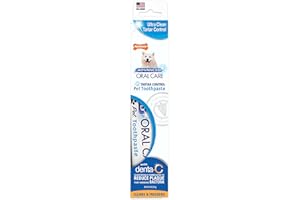Nylabone Advanced Oral Care Tartar Control Dog Toothpaste Original 2.5 oz. (1 Count)